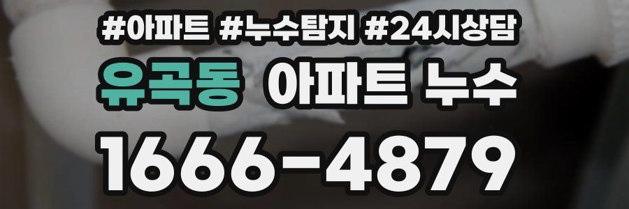 유곡동 누수탐지