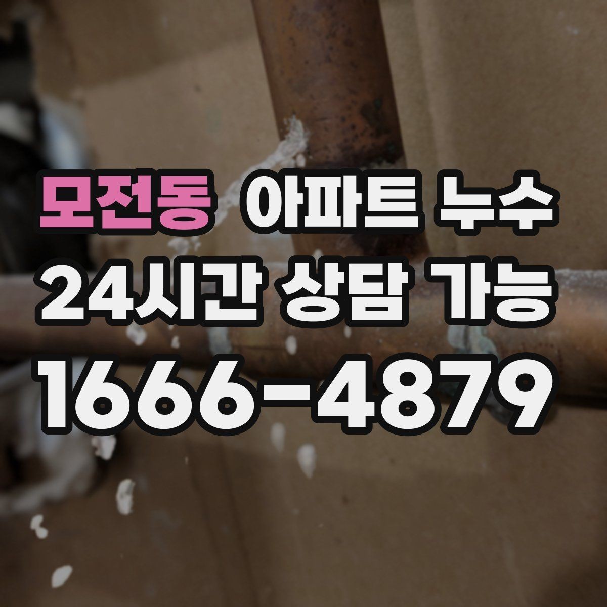 모전동 아파트 누수 아래층 민원 대응과 해결 흐름