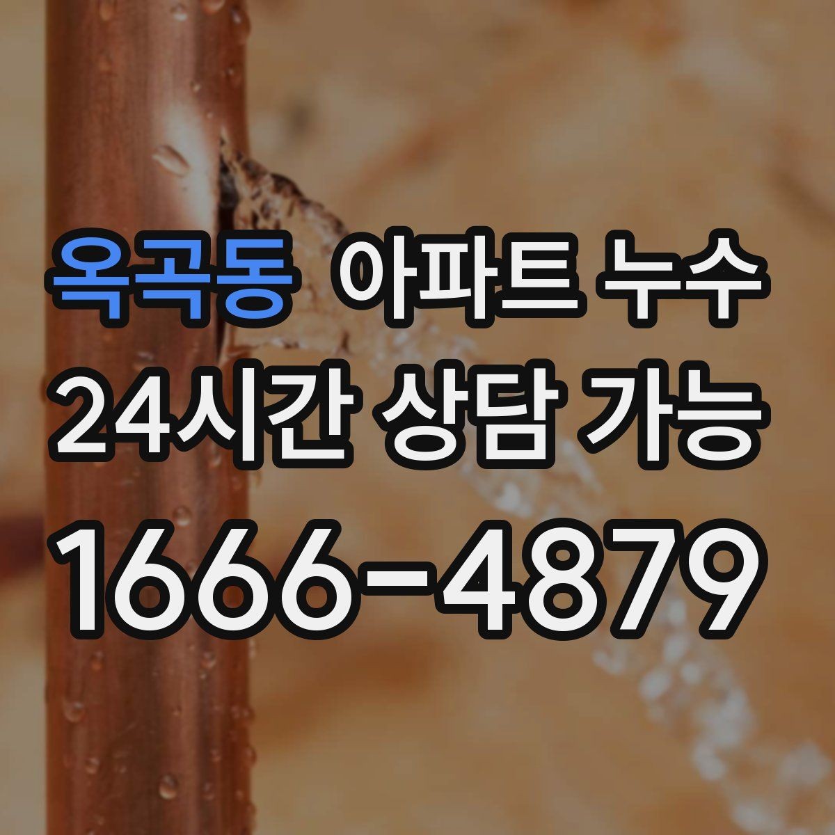 옥곡동 아파트 누수 다용도실 벽면 변색이 생길 때