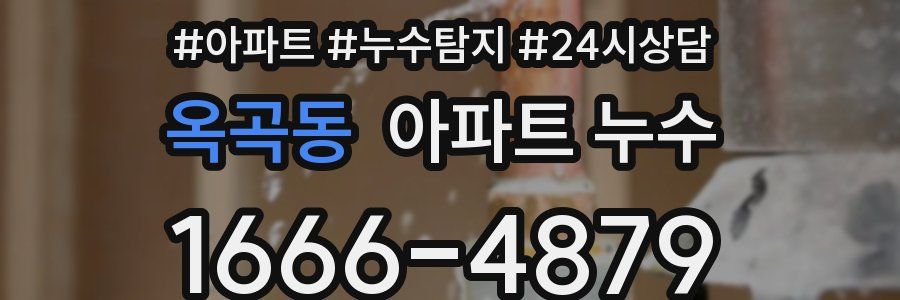 옥곡동 누수탐지