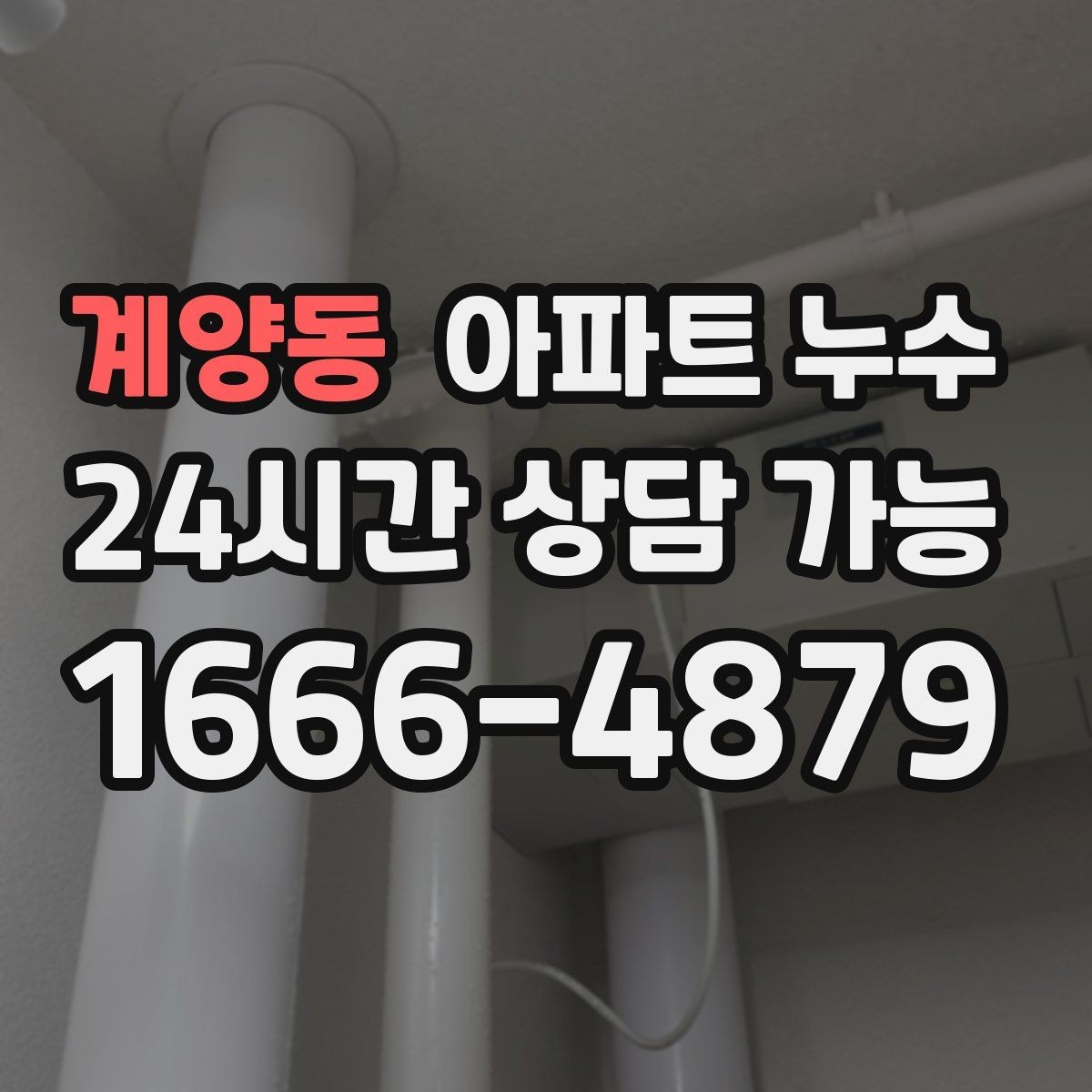 계양동 아파트 누수 냄새와 곰팡이가 같이 날 때 대처
