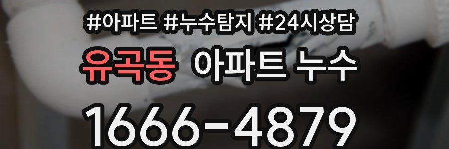 유곡동 누수탐지