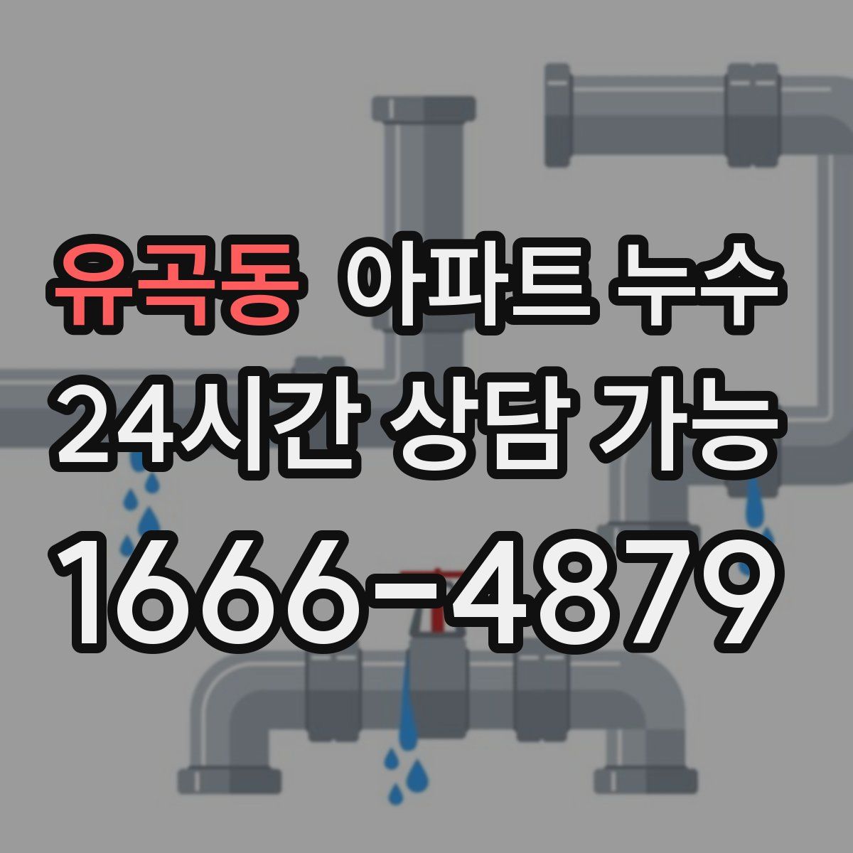 유곡동 아파트 누수탐지