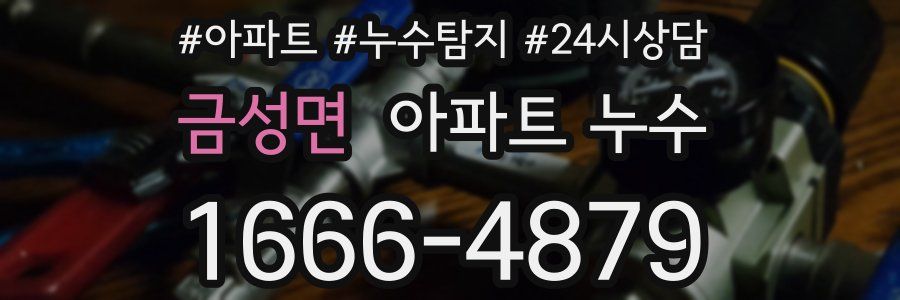 금성면 누수탐지