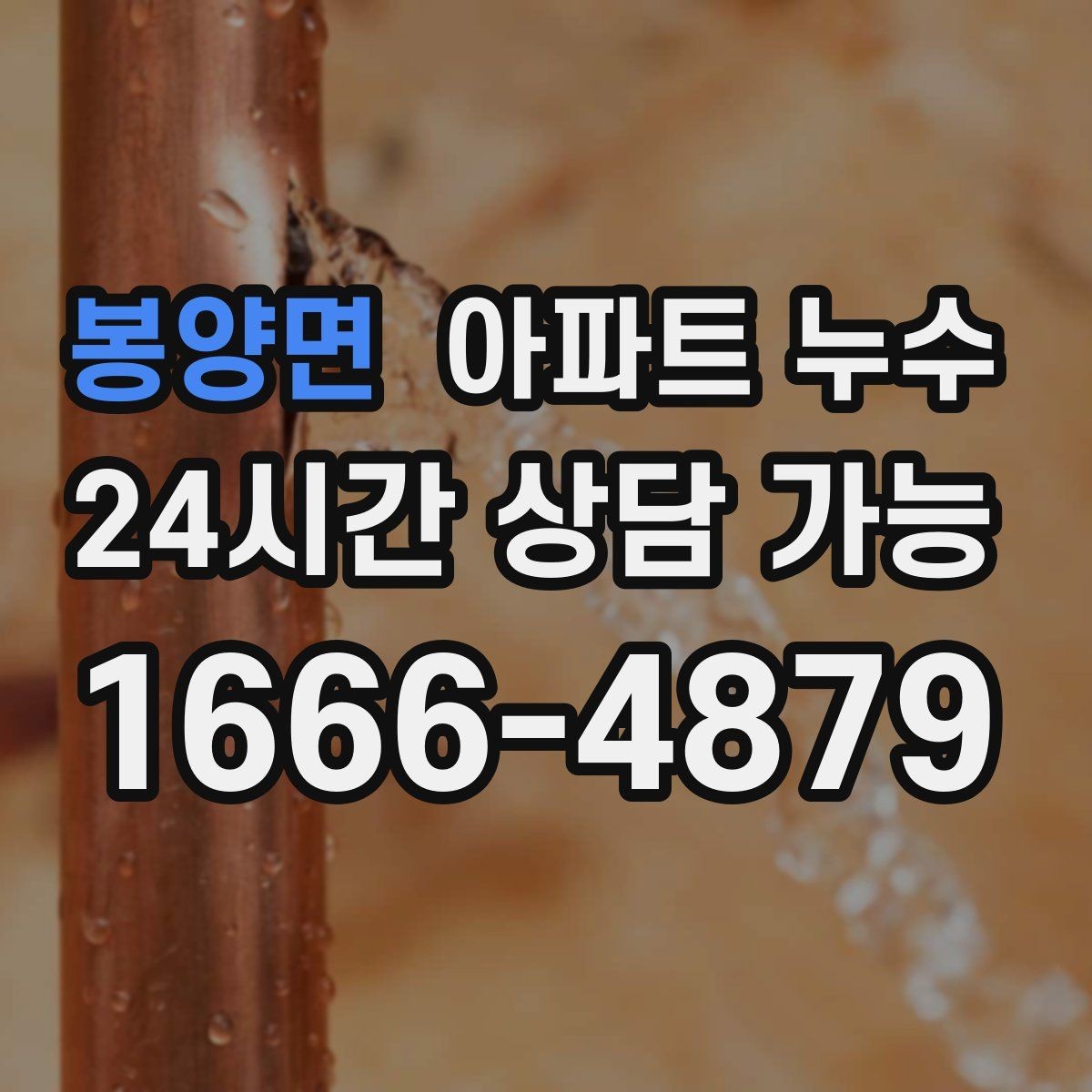 봉양면 아파트 누수 물기와 냄새가 동시에 날 때 대응