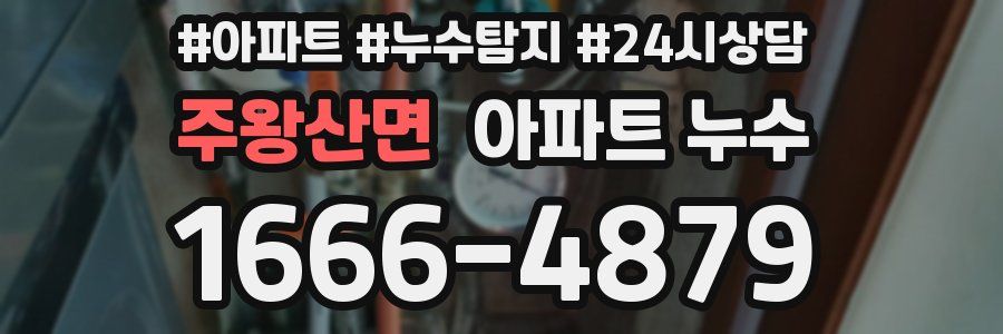 주왕산면 누수탐지