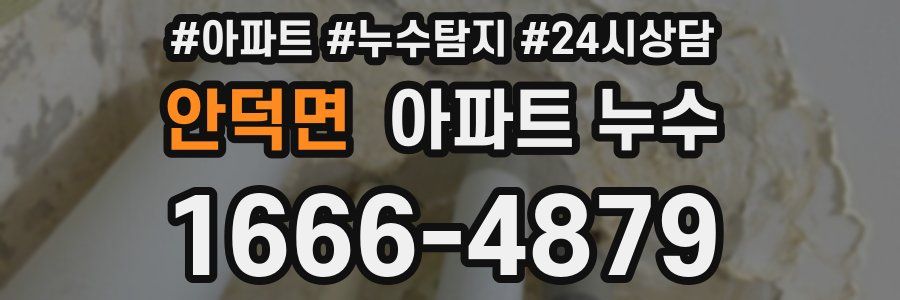 안덕면 누수탐지