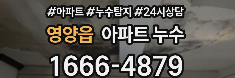 영양읍 누수탐지