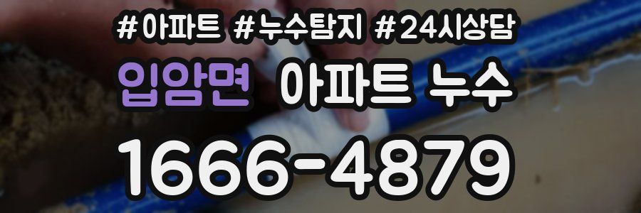 입암면 누수탐지