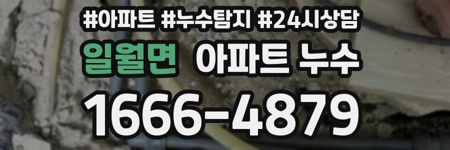 일월면 누수탐지