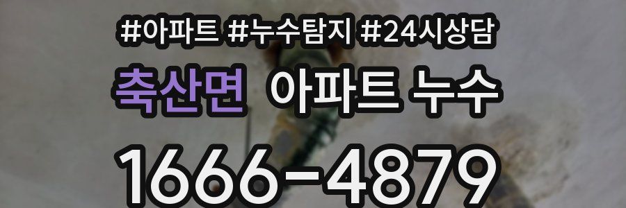 축산면 누수탐지