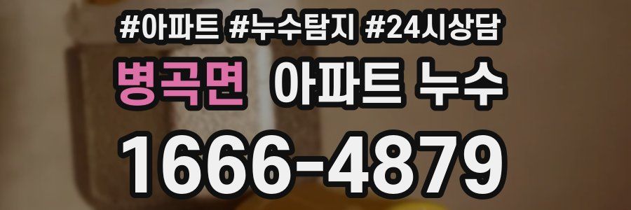 병곡면 누수탐지