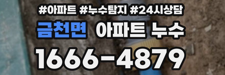 금천면 누수탐지