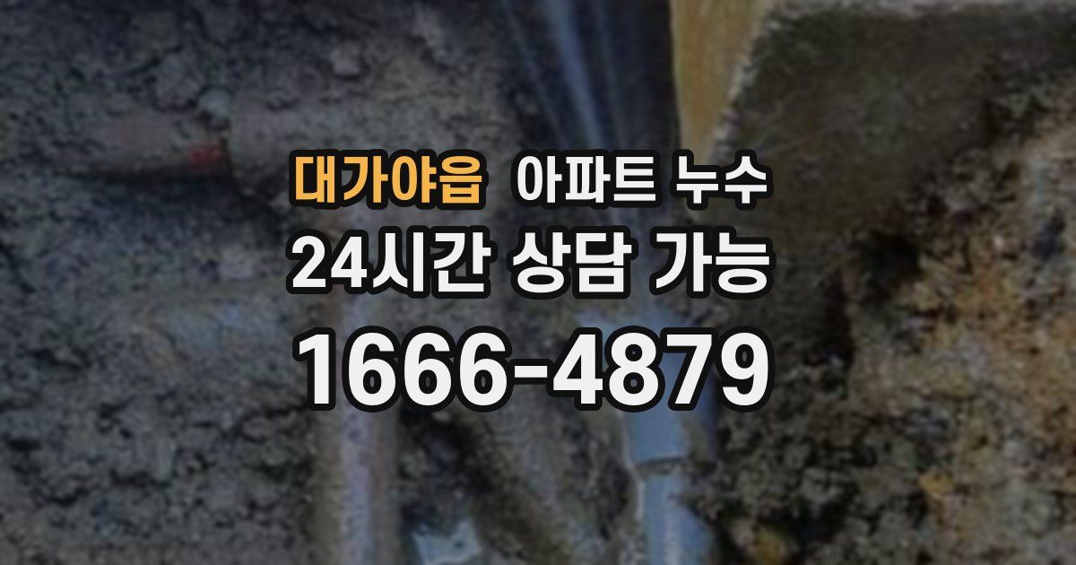 대가야읍 아파트 누수
