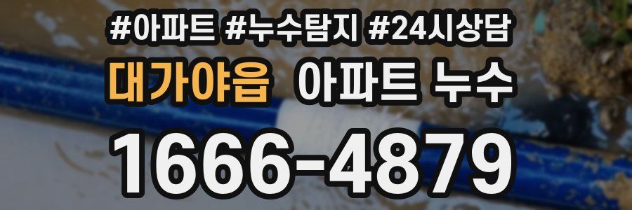 대가야읍 누수탐지