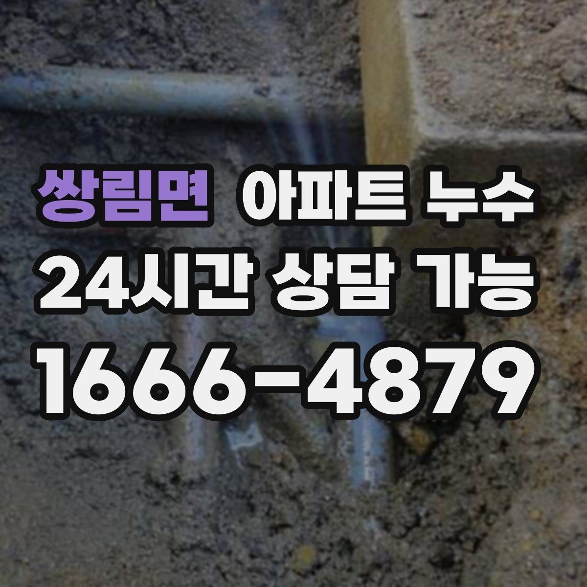 쌍림면 아파트 누수 전등 주변 변색이 보이면 위험 신호