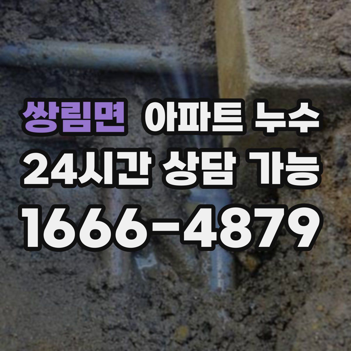 쌍림면 아파트 누수탐지