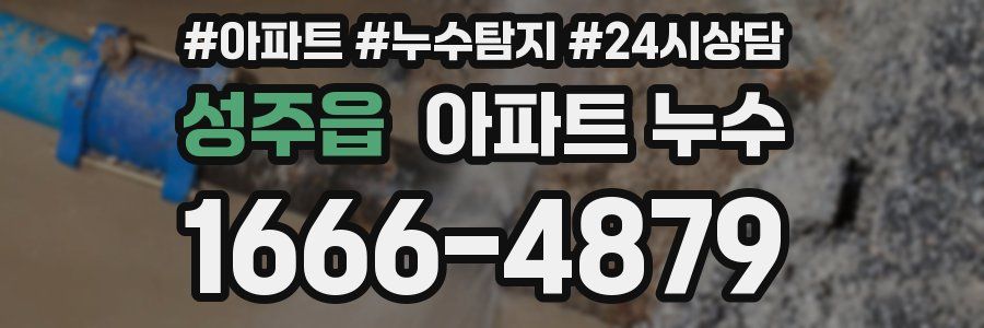 성주읍 누수탐지