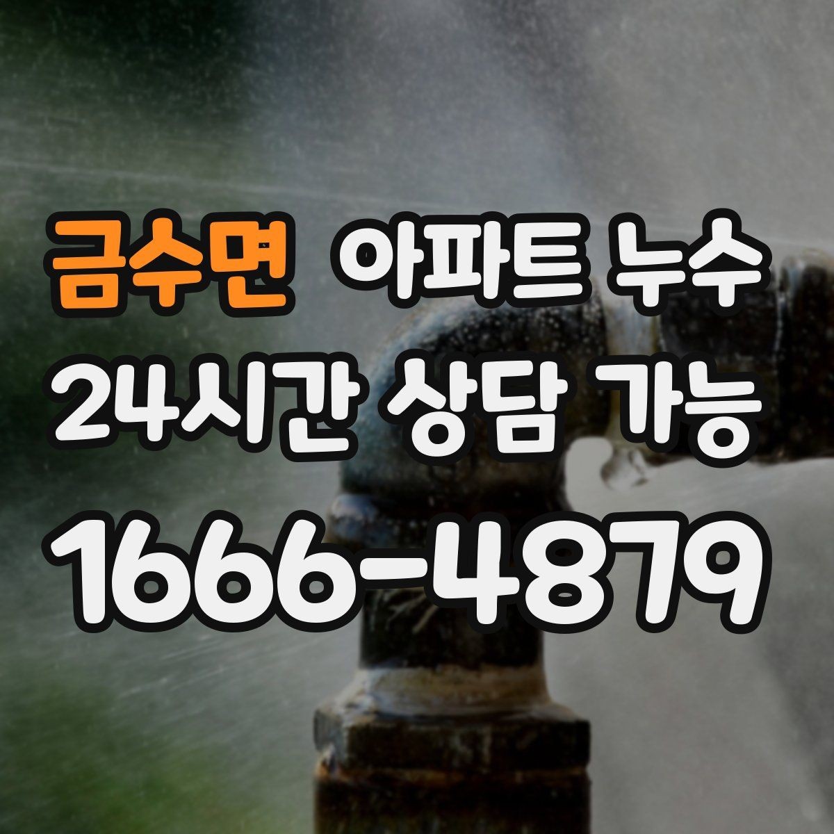 금수면 아파트 누수 곰팡이 악취로 번지기 전 체크