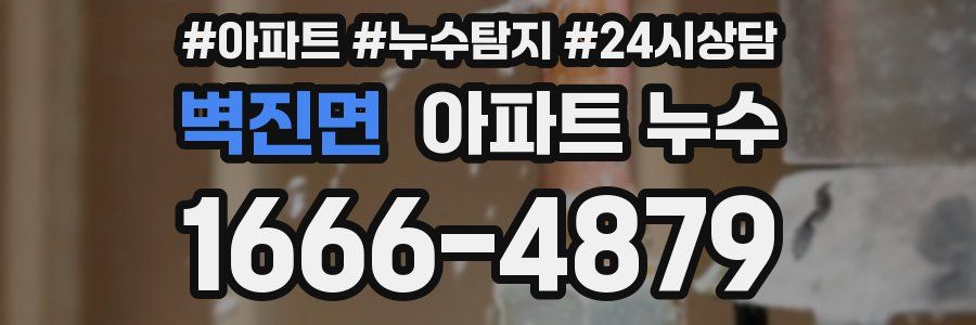 벽진면 누수탐지