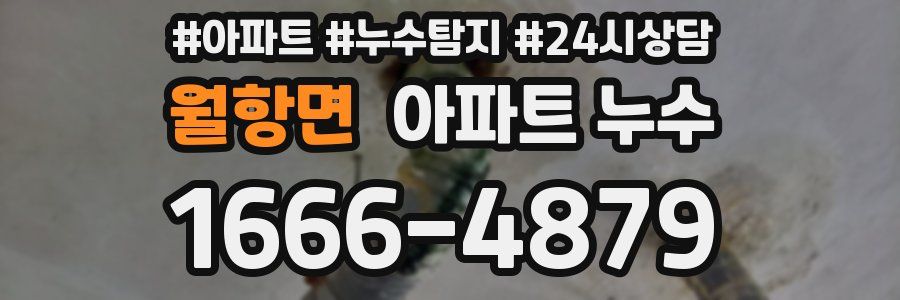 월항면 누수탐지