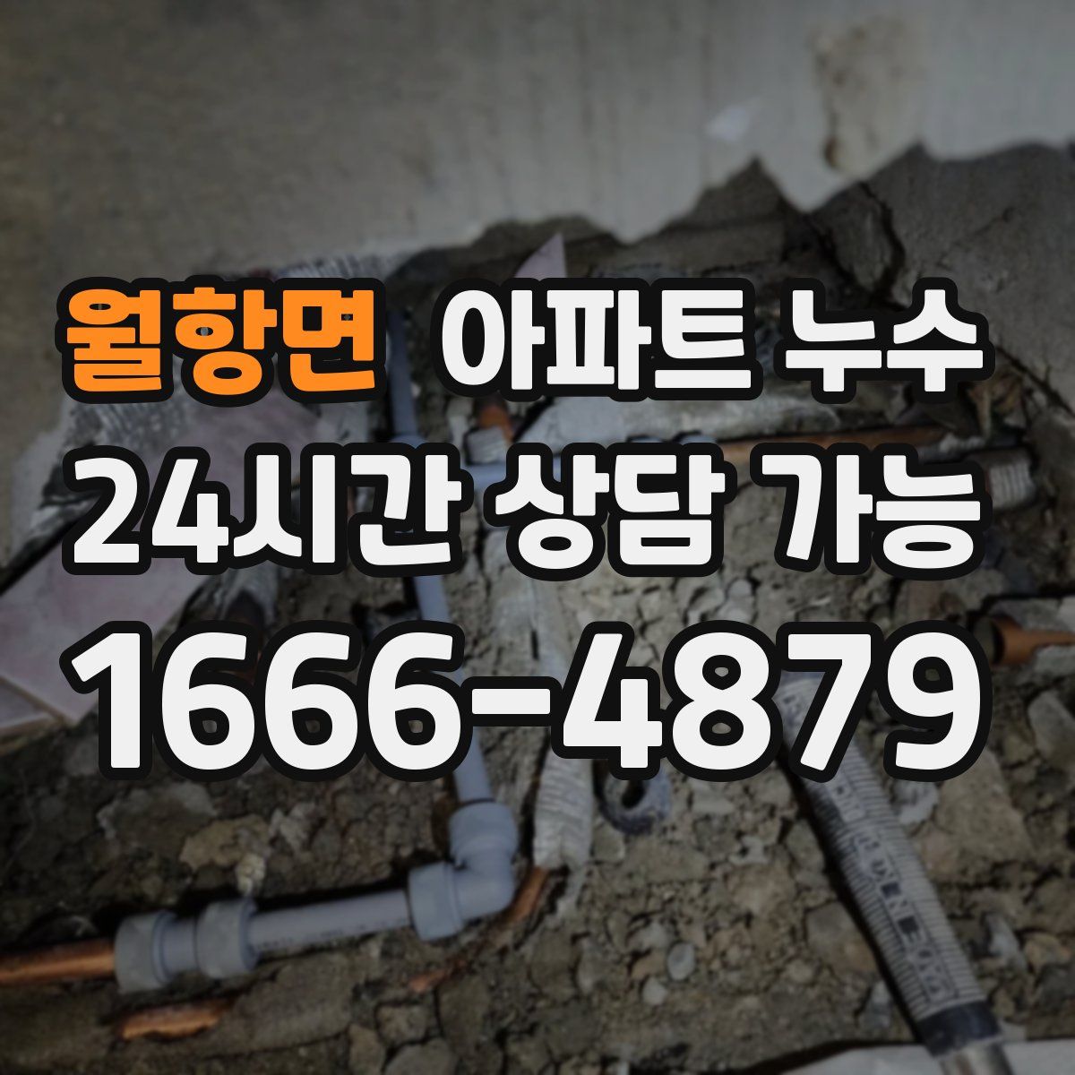 월항면 아파트 누수탐지