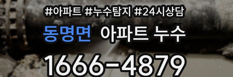 동명면 누수탐지