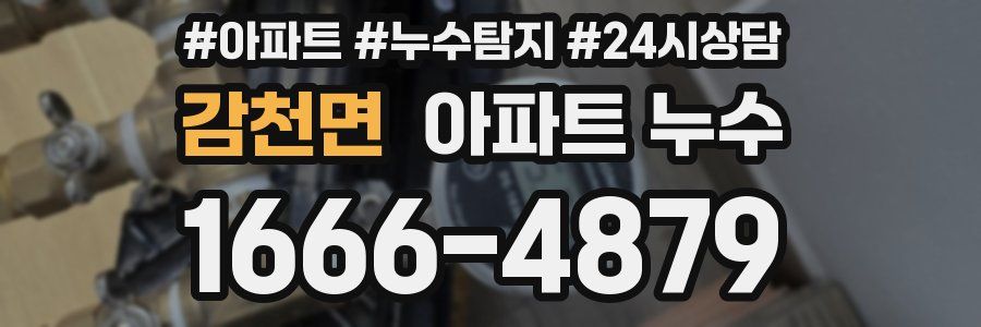 감천면 누수탐지