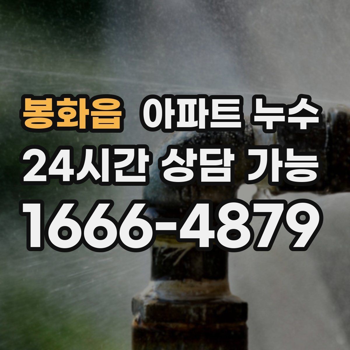 봉화읍 아파트 누수 벽지에 점이 여러 개 생길 때 확인