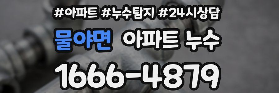 물야면 누수탐지