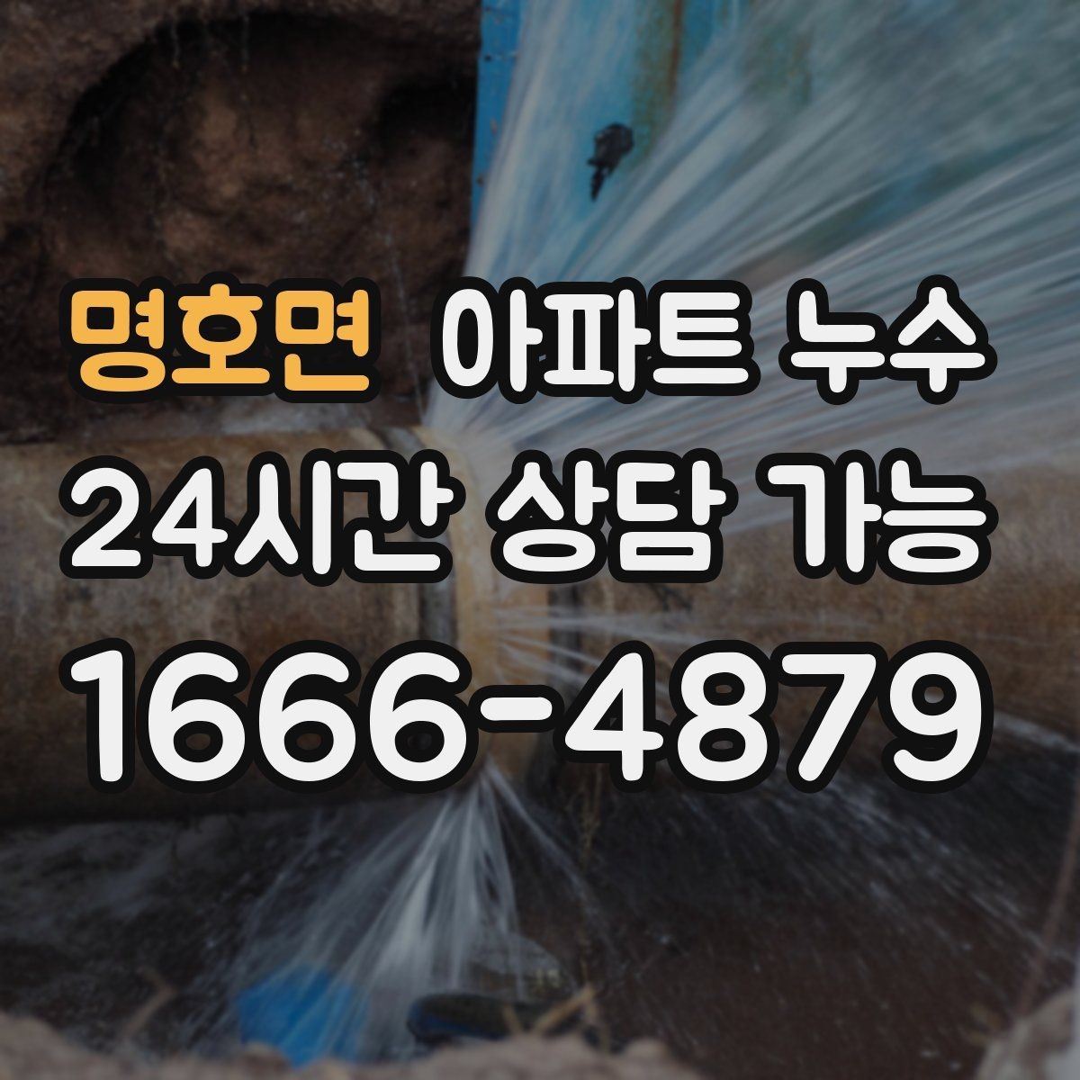 명호면 아파트 누수 아래층 민원 대응 방법 정리