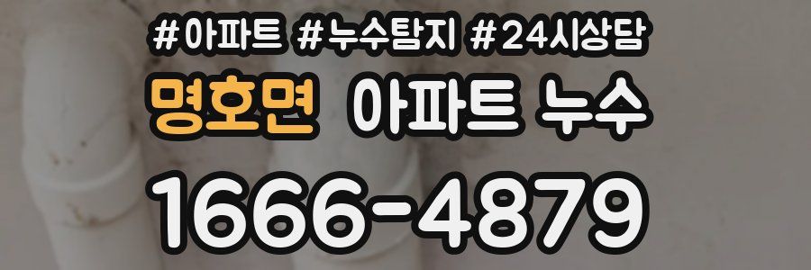 명호면 누수탐지