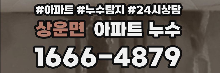 상운면 누수탐지