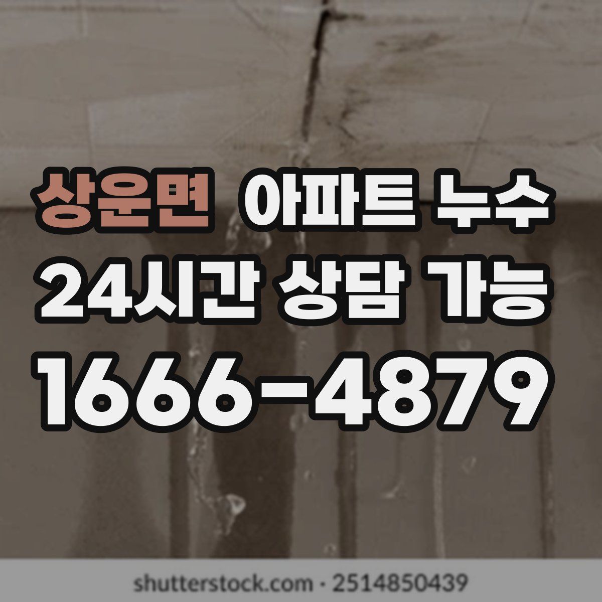 상운면 아파트 누수탐지