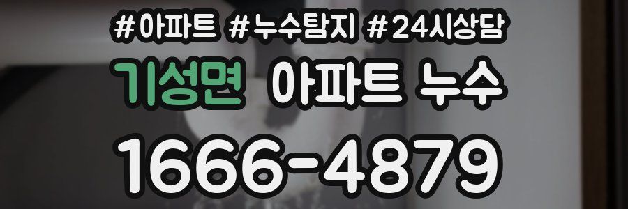 기성면 누수탐지