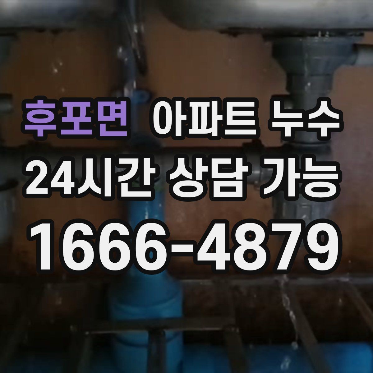 후포면 아파트 누수 수납장 뒤 눅눅함 보이면 정리 방법부터 정리