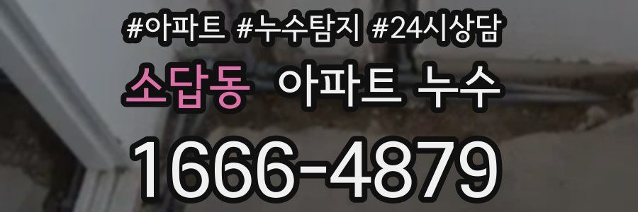 소답동 누수탐지