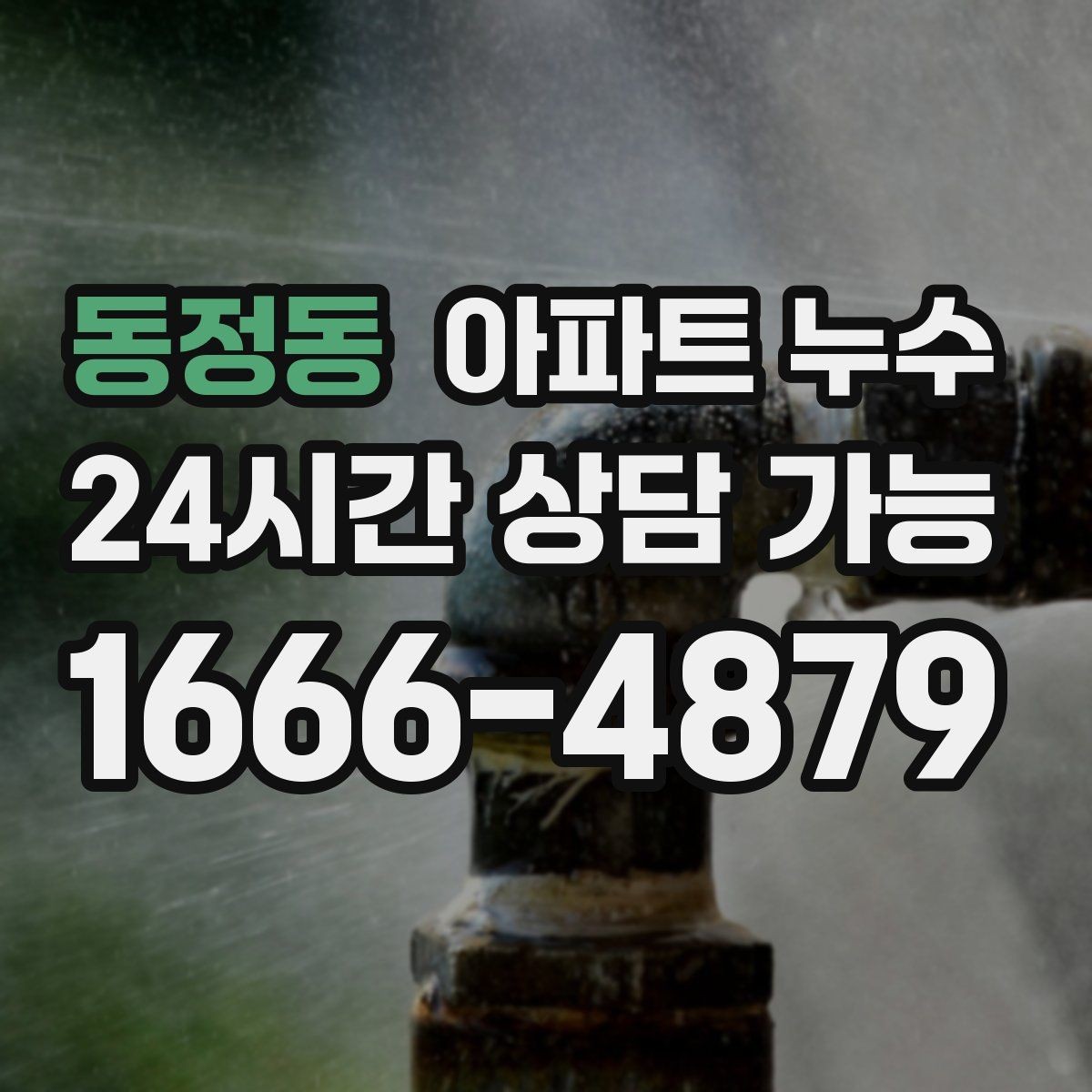 동정동 아파트 누수 천장 얼룩이 회색으로 변할 때
