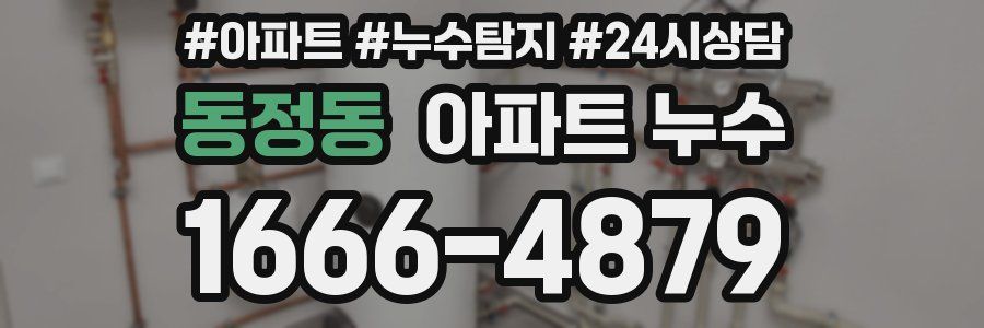 동정동 누수탐지