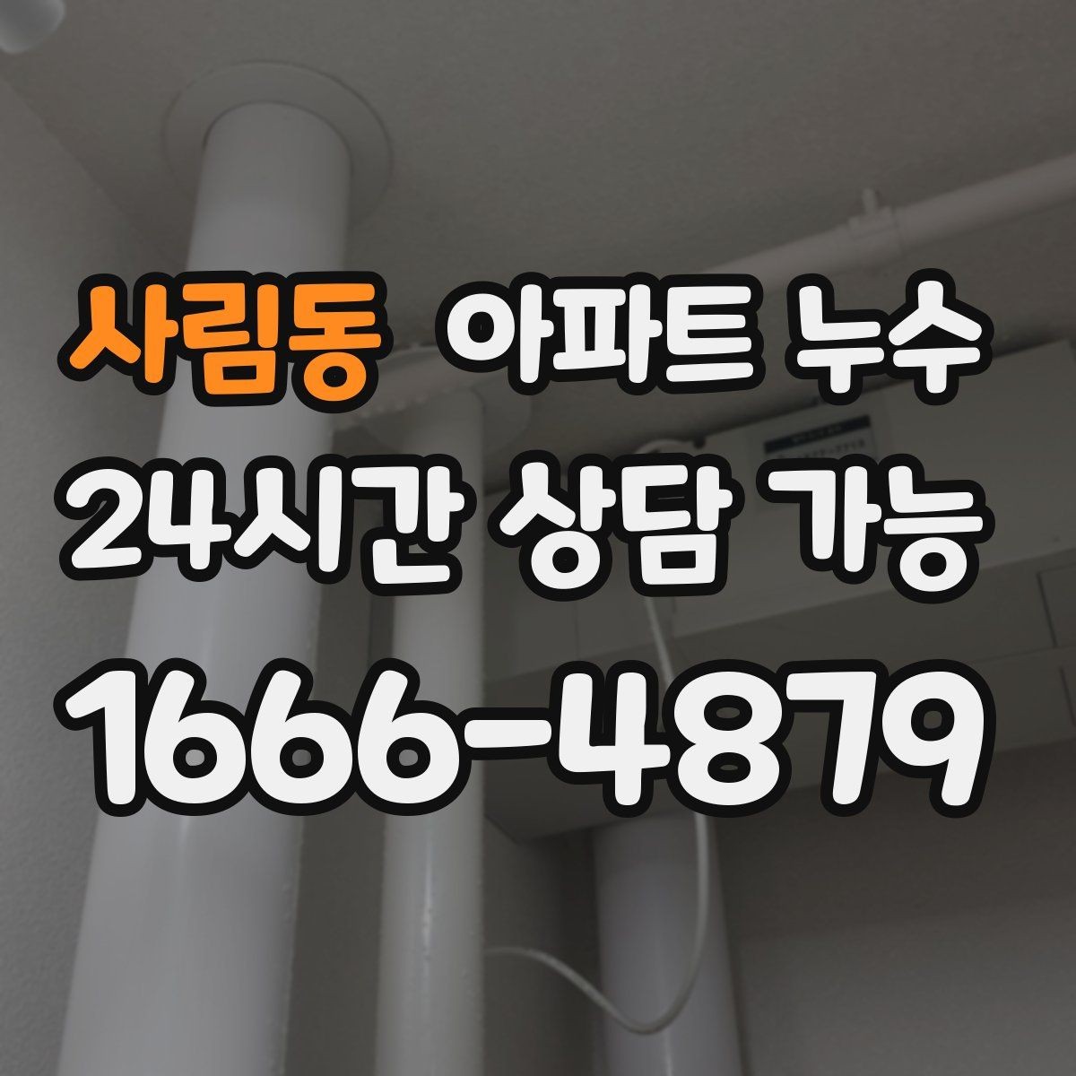사림동 아파트 누수 곰팡이만 늘고 물자국은 적을 때