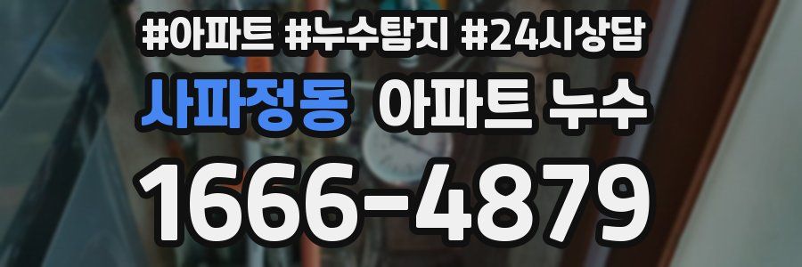 사파정동 누수탐지