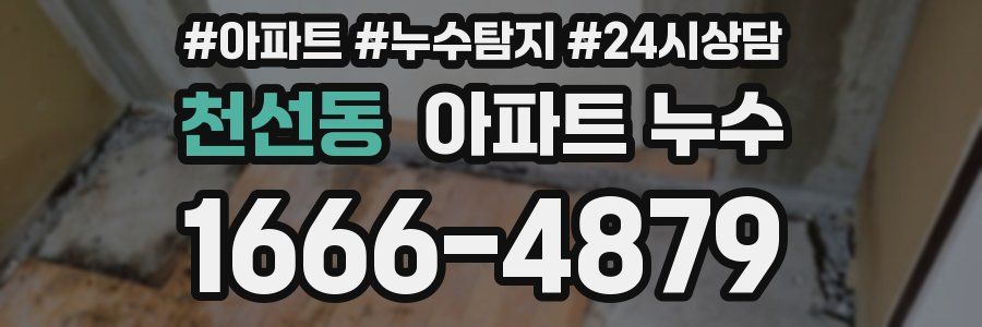 천선동 누수탐지