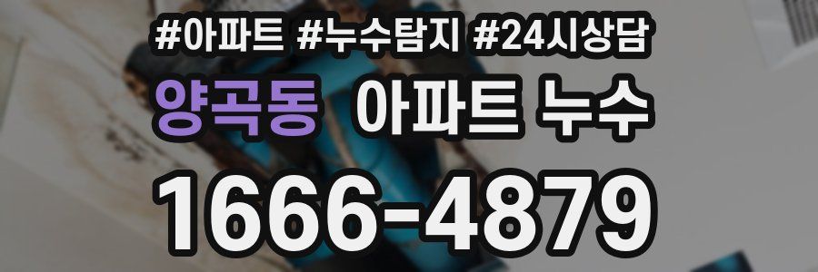 양곡동 누수탐지