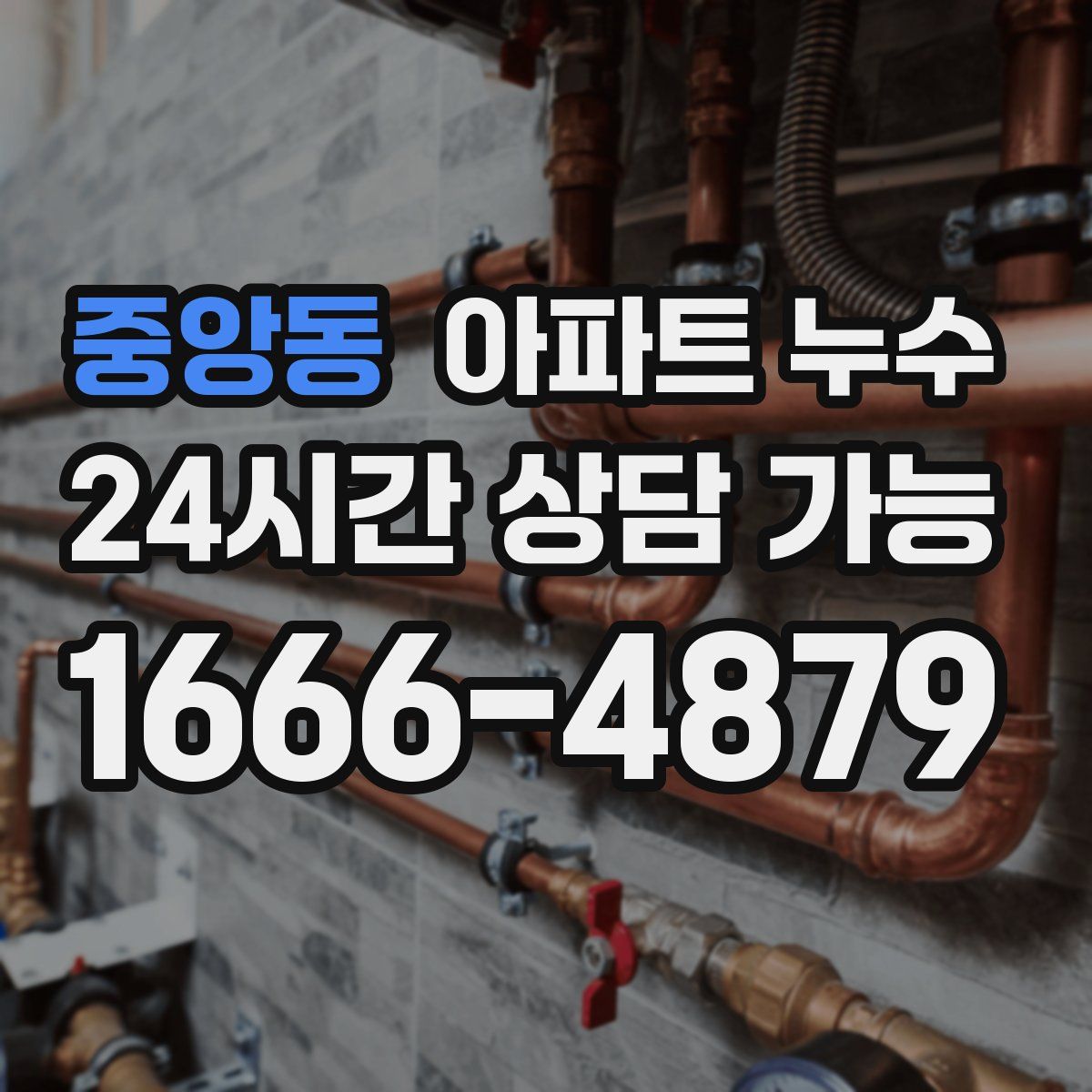 중앙동 아파트 누수탐지