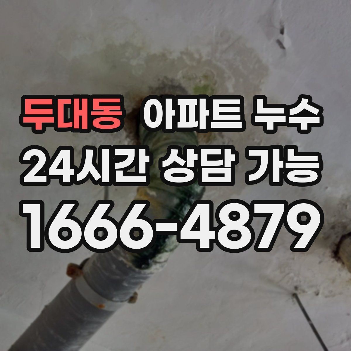 두대동 아파트 누수 환기만으로 해결되지 않는 습기의 정체