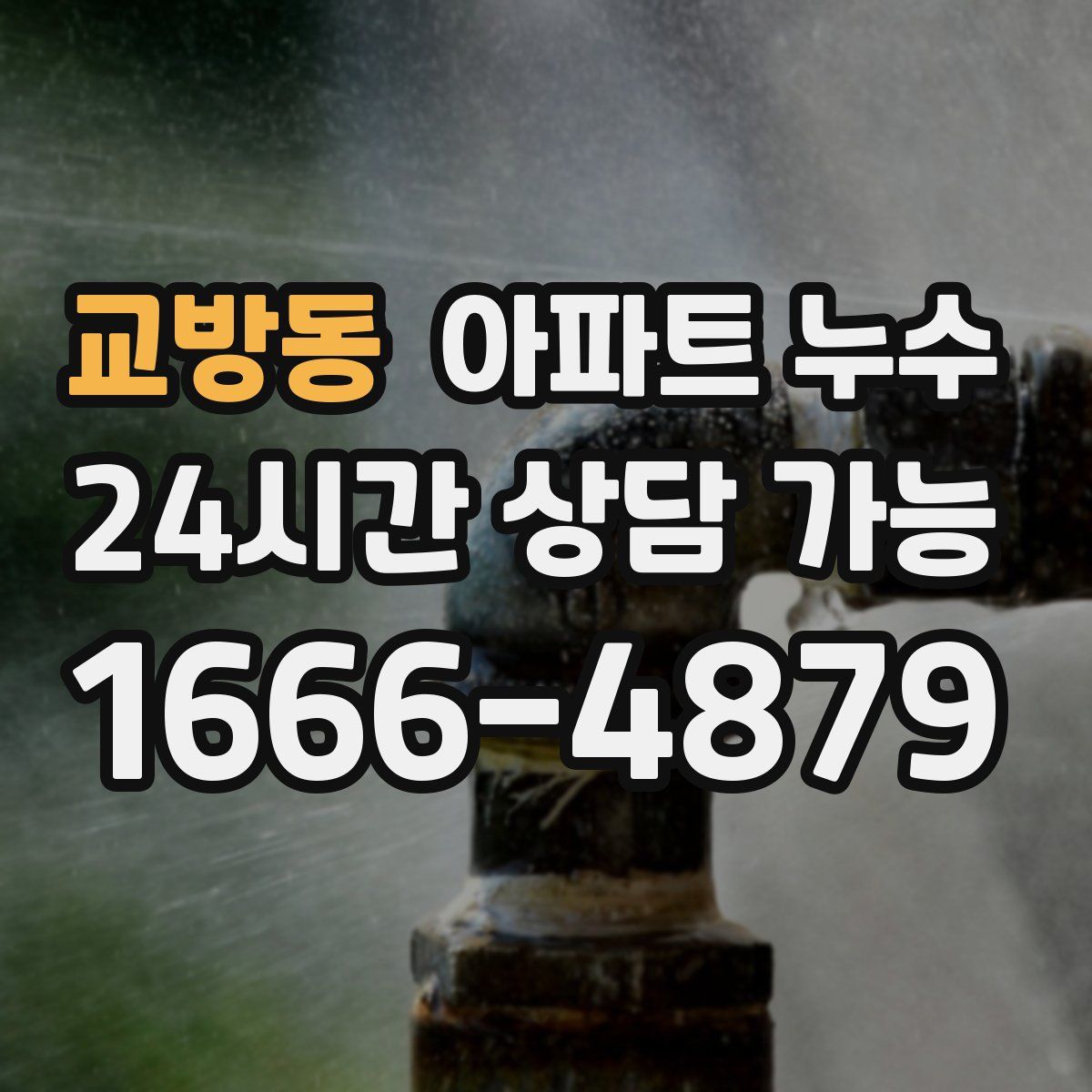 교방동 아파트 누수탐지