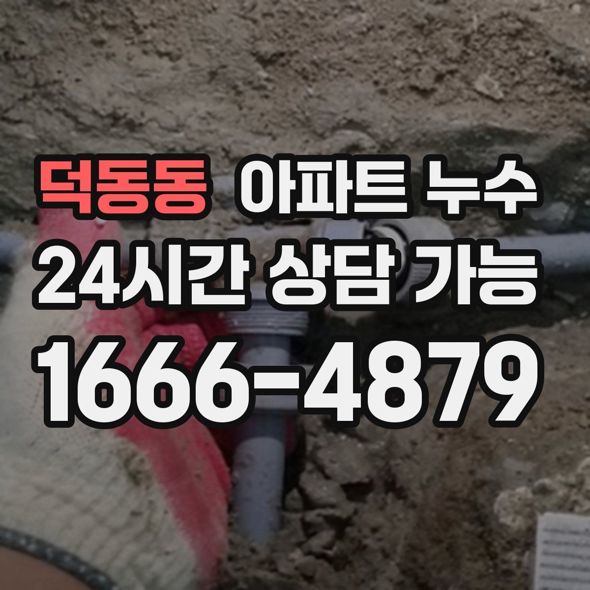 덕동동 아파트 누수 벽지 끝선이 검게 변할 때