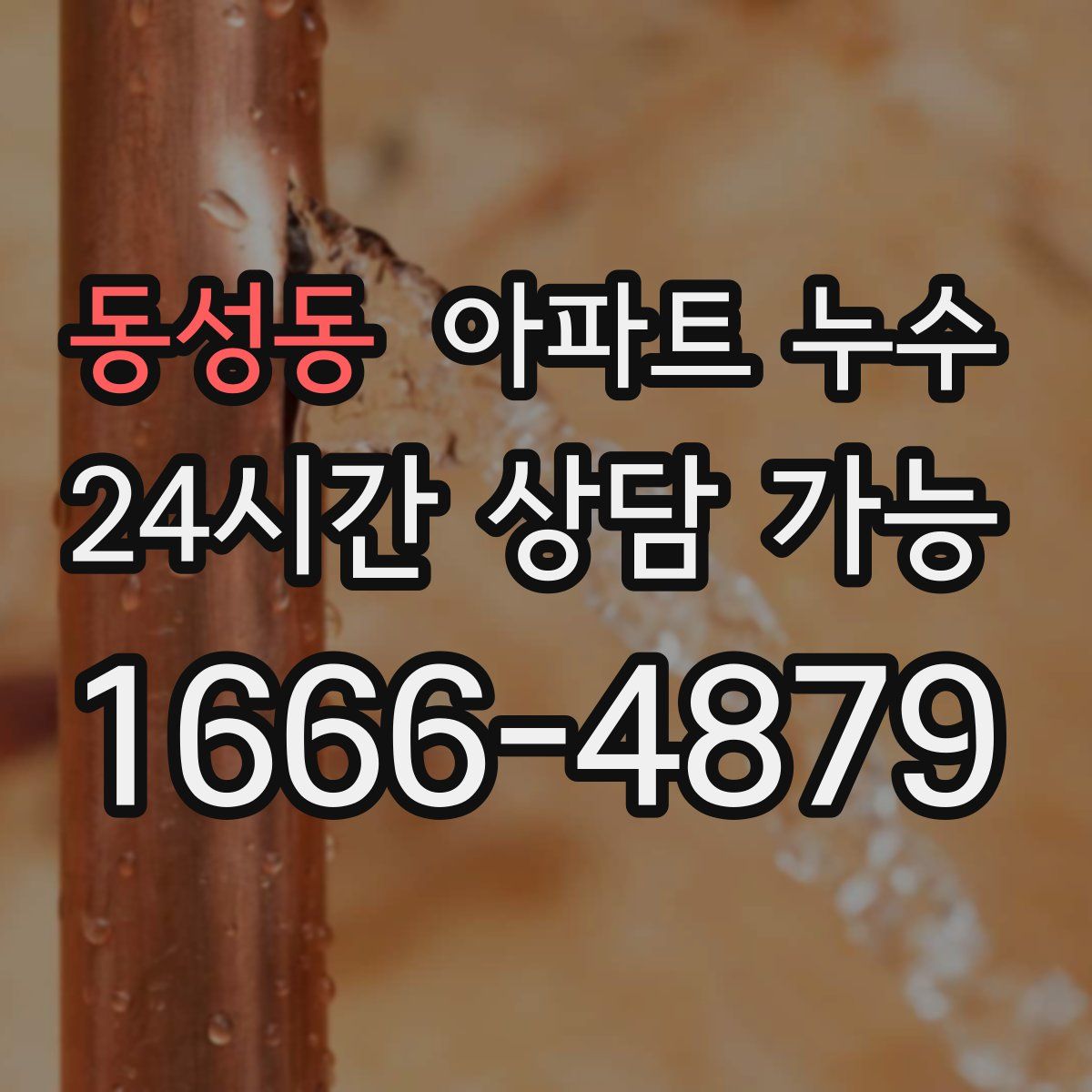 동성동 아파트 누수탐지