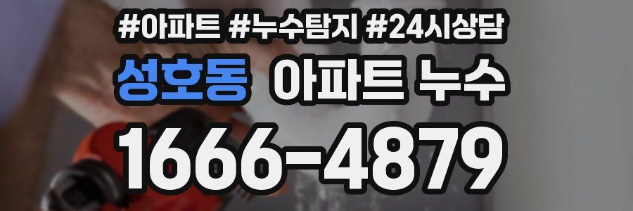 성호동 누수탐지