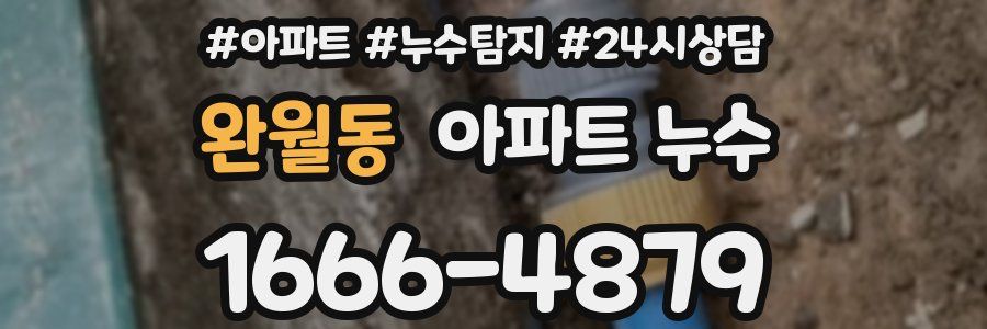 완월동 누수탐지